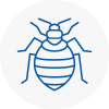 Bed Bug Extermination In Dawley