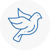 Bird Prevention Dawley