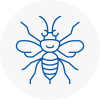 Dawley Hornet Nest Removals