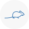 Mice Exterminators In Dawley