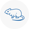 Rat Control Dawley