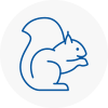 Dawley Rodent Removals