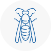 Dawley Wasp Nest Removal